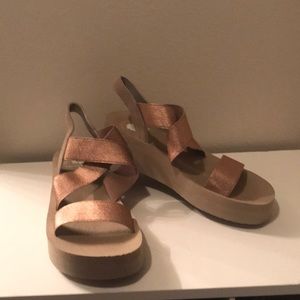 Yellow Box Mellow May Bunkie